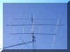 antsonbigtower.jpg (41553 bytes)