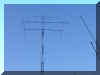 bigtower.jpg (33573 bytes)
