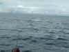 P1010045.JPG (688384 bytes)