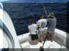 James and Marshall discuss how to land the dolphin on 12lb (82435 bytes)